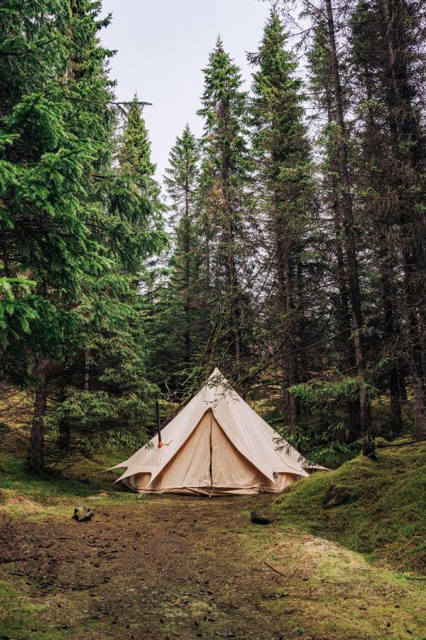 Golden Circle Tents - Glamping Experience Hotel เซลฟอส ภายนอก รูปภาพ